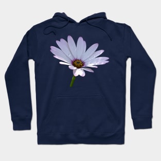 African Daisy Hoodie